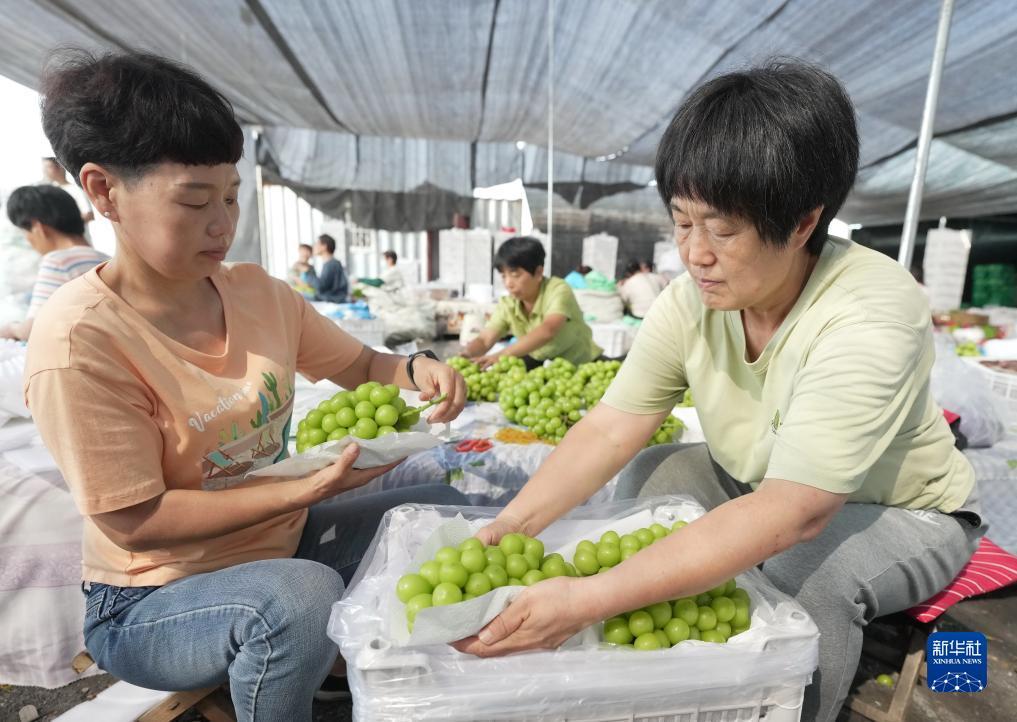捕鱼之大圣闹海