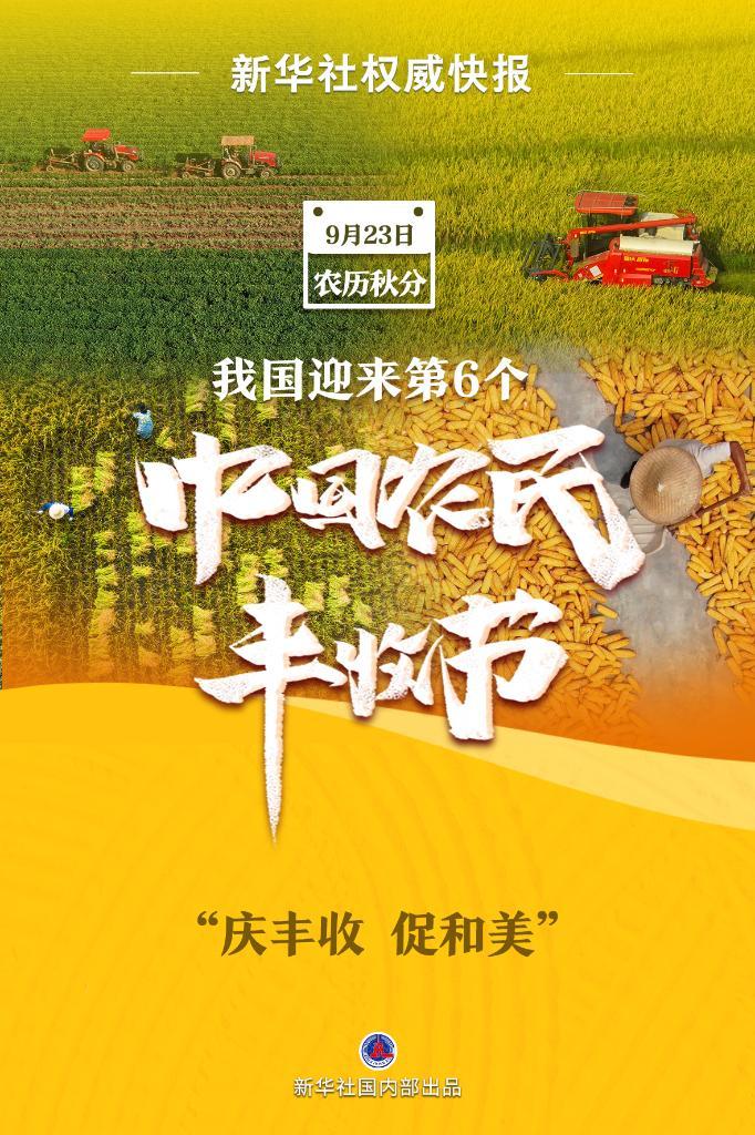 frog游戏